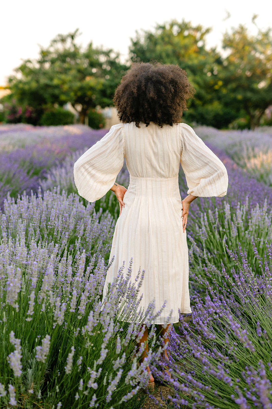 Buttoned Midi Dress